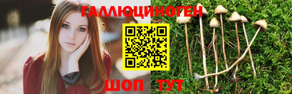 Галлюциногенные грибы прущие грибы  Галлюциногенные грибы прущие грибы  где найти наркотики  Ипатово  Вход с VPN 