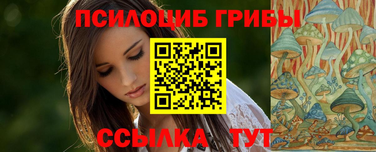 Псилоцибиновые грибы мицелий Ипатово